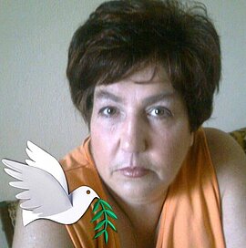 Profilbild von Erni D'Ambros
